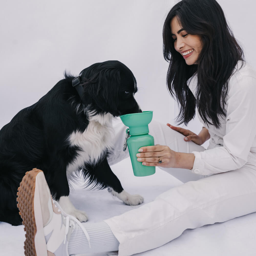 Springer Flip Dog Travel Water Bottle (590ml)