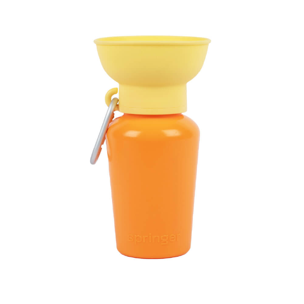 Springer Flip Dog Travel Water Bottle (590ml)