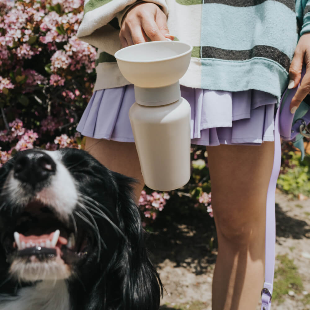 Springer Flip Dog Travel Water Bottle (590ml)