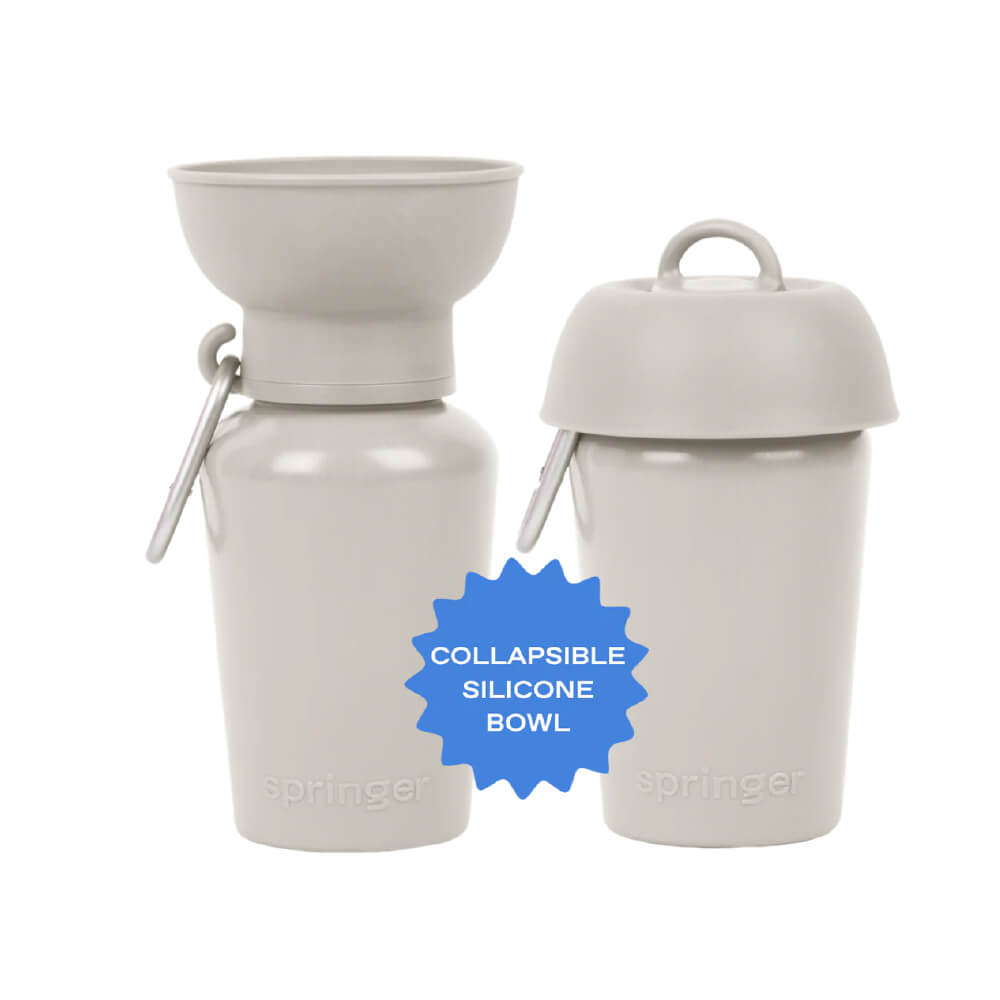 Springer Flip Dog Travel Water Bottle (590ml)