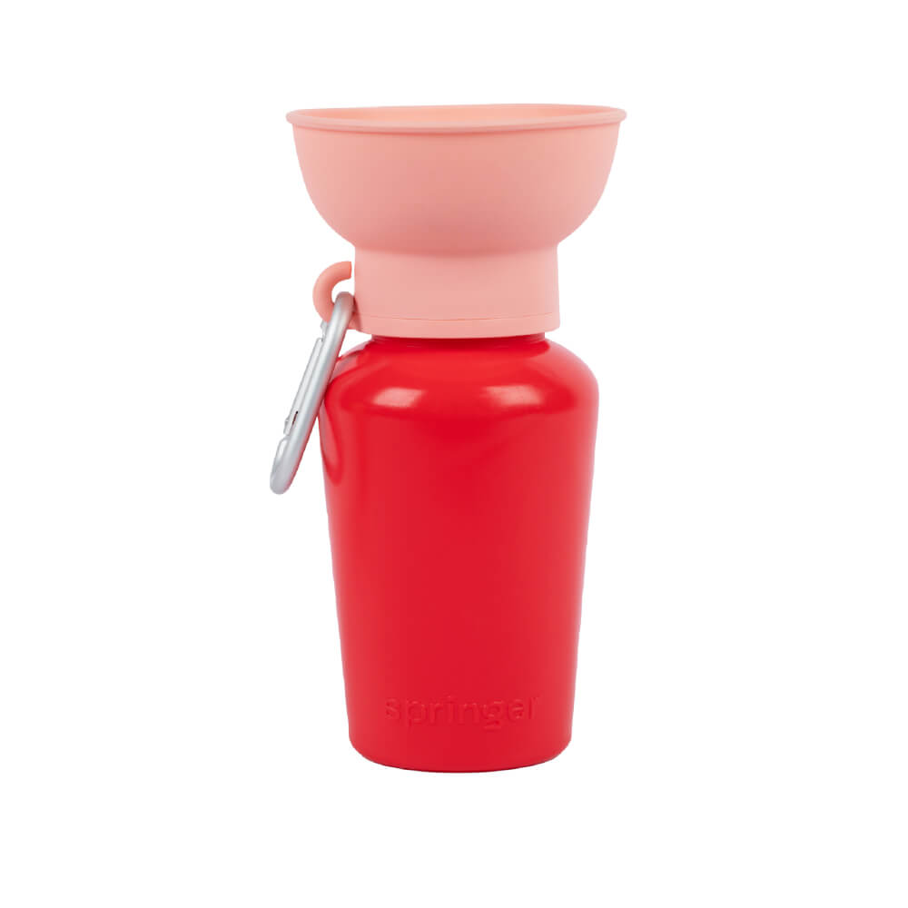 Springer Flip Dog Travel Water Bottle (590ml)