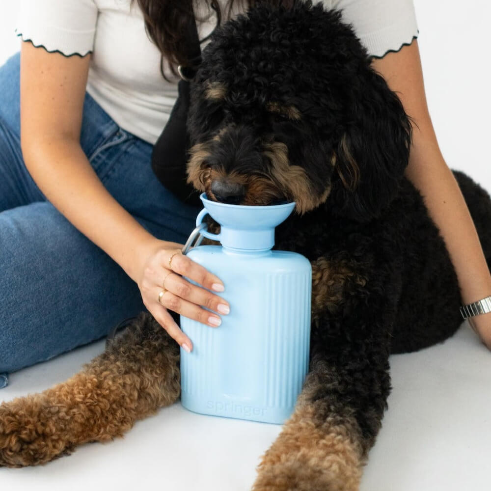 Springer Growler Dog Travel Water Bottle (1300ml)