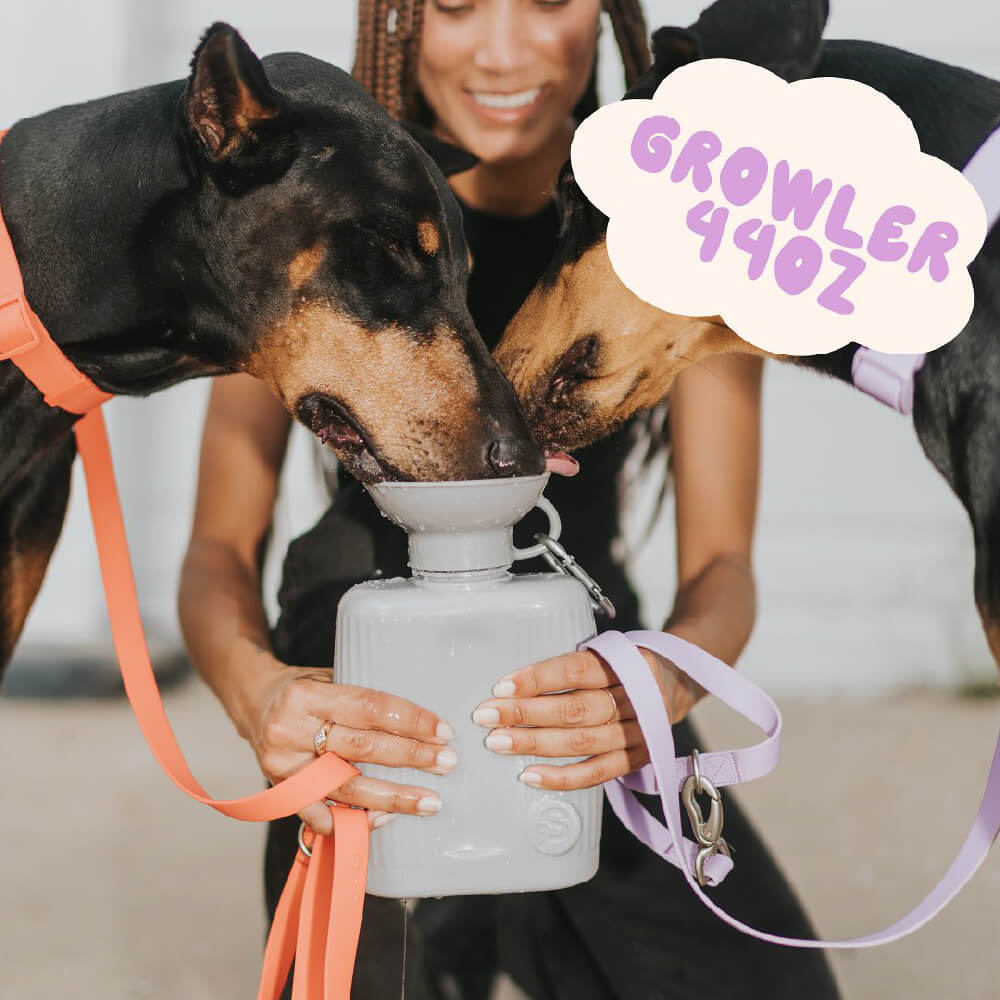 Springer Growler Dog Travel Water Bottle (1300ml)