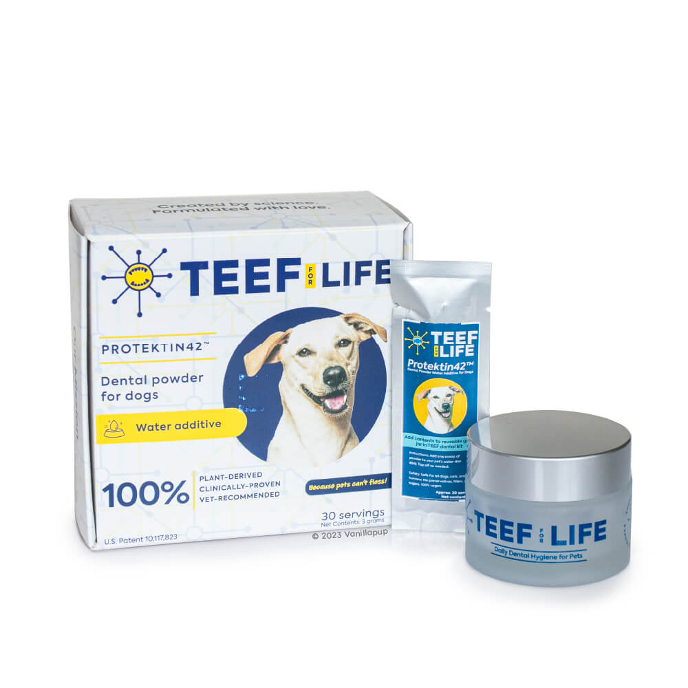 TEEF! Daily Dog Dental Care Regimen