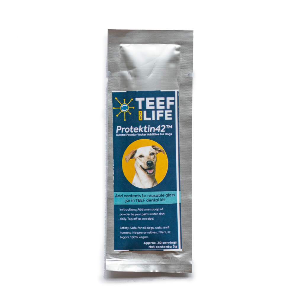 TEEF! Daily Dog Dental Care Regimen