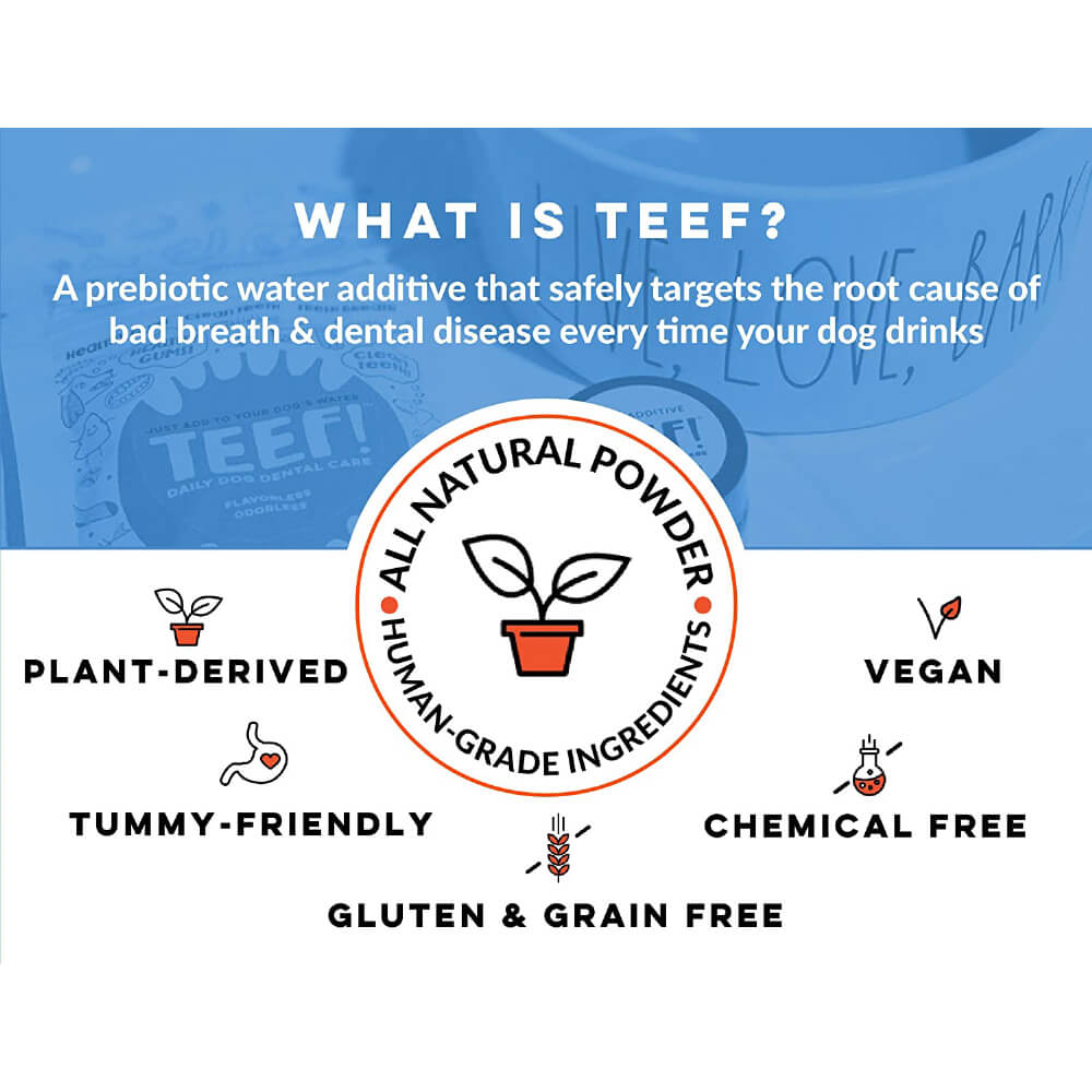 TEEF! Daily Dog Dental Care Regimen