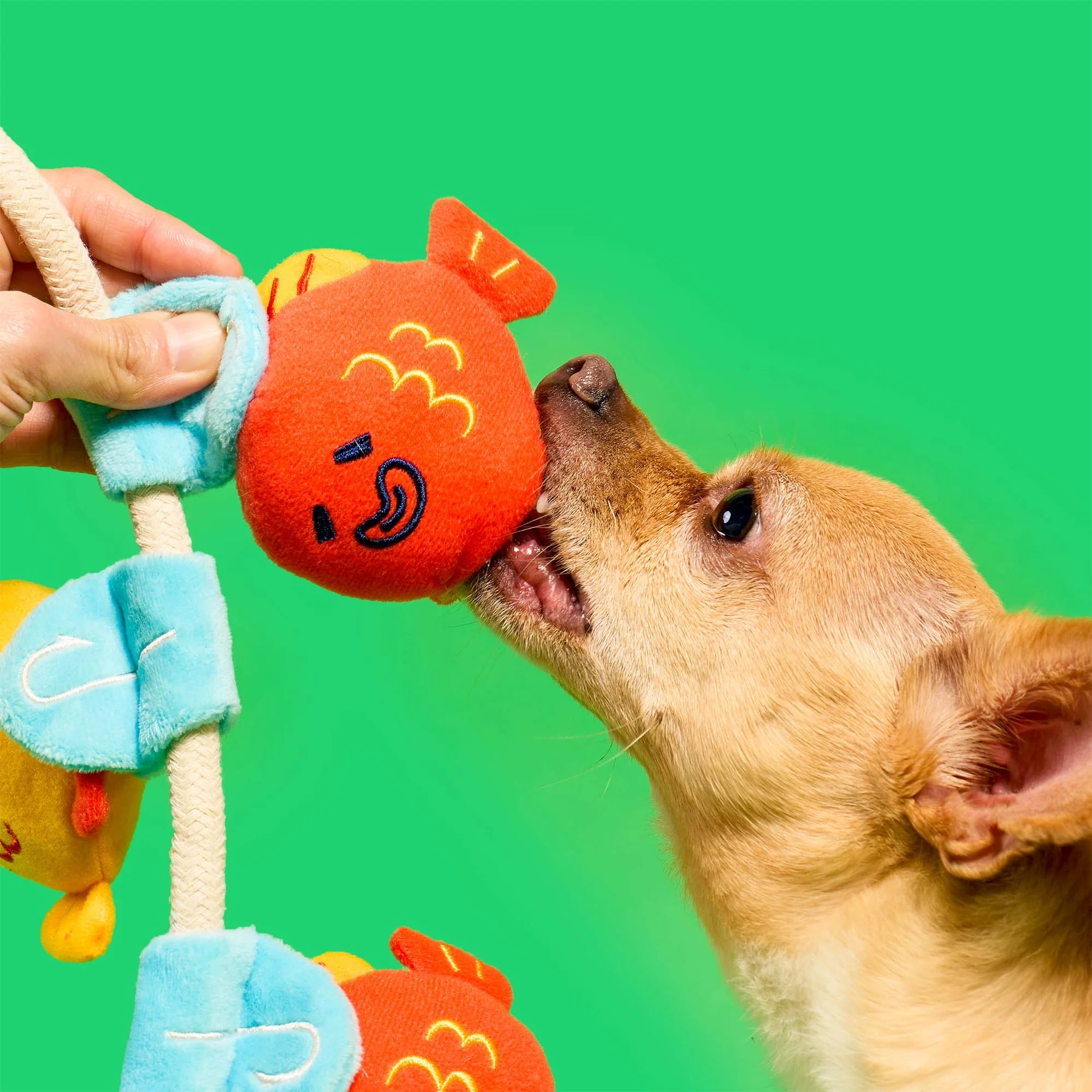 the furryfolks Fishing Nosework & Tug Toy