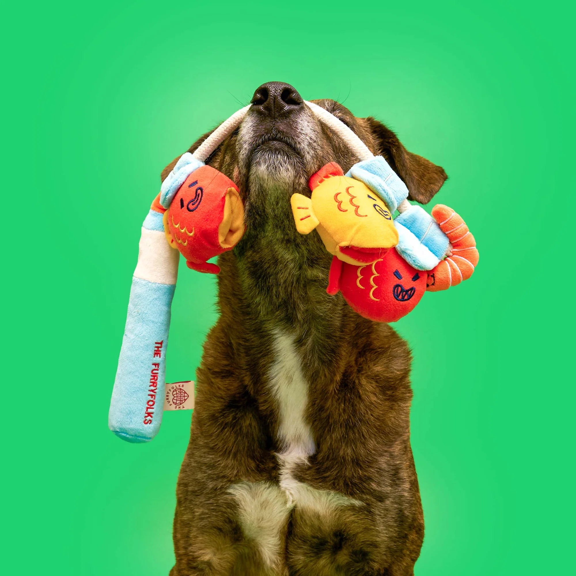 the furryfolks Fishing Nosework & Tug Toy