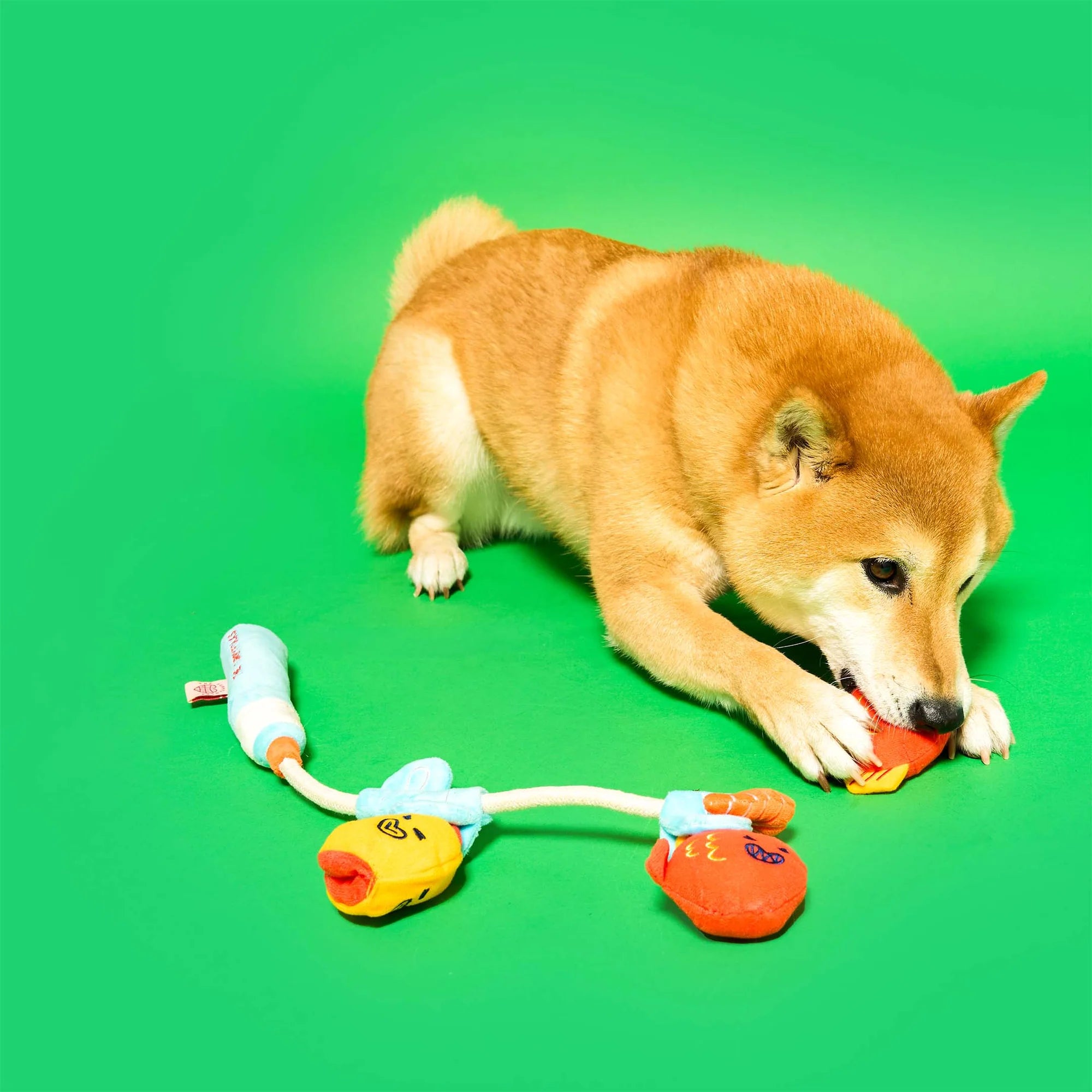 the furryfolks Fishing Nosework & Tug Toy