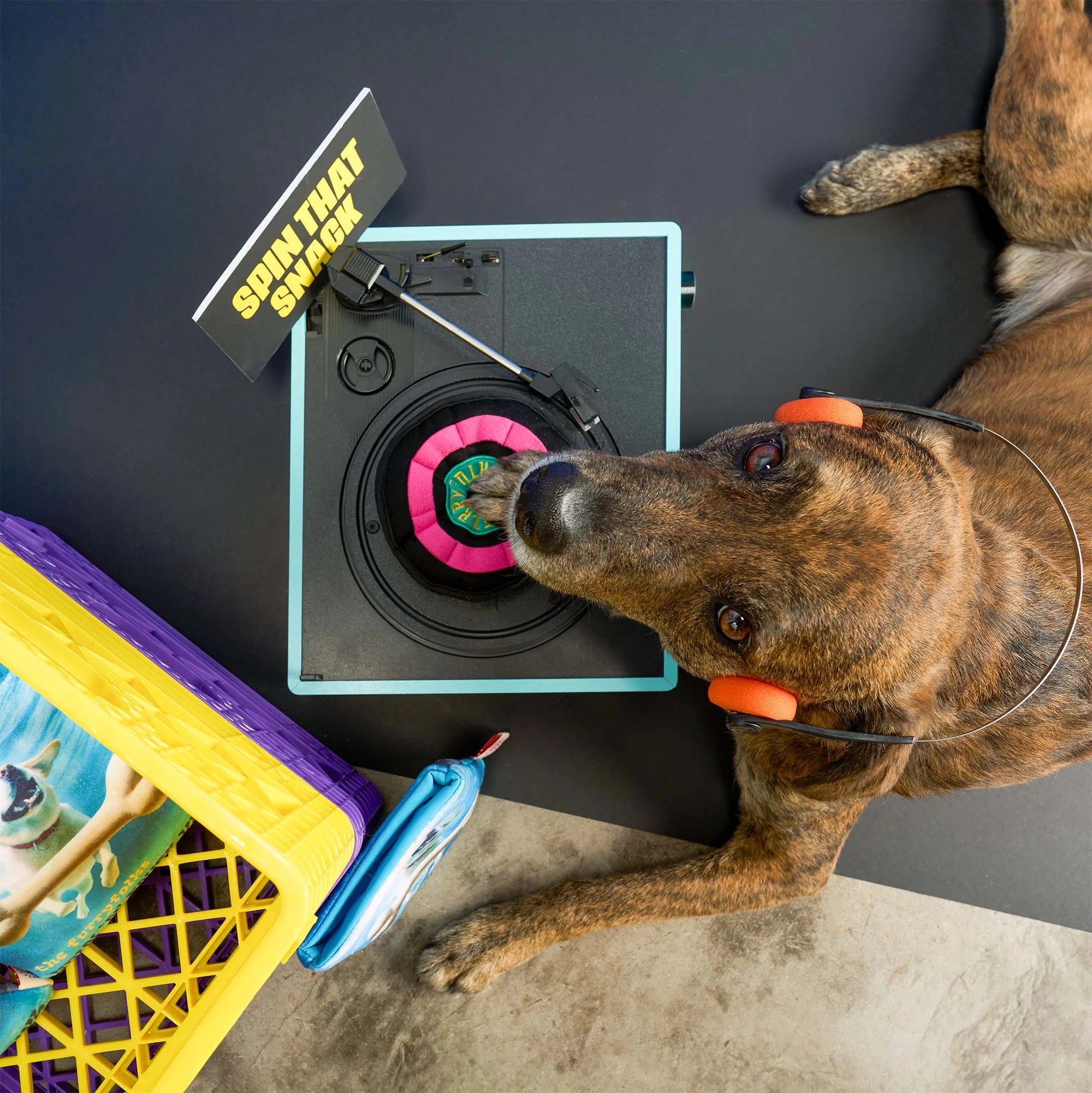 the furryfolks Vinyl Nosework Toy