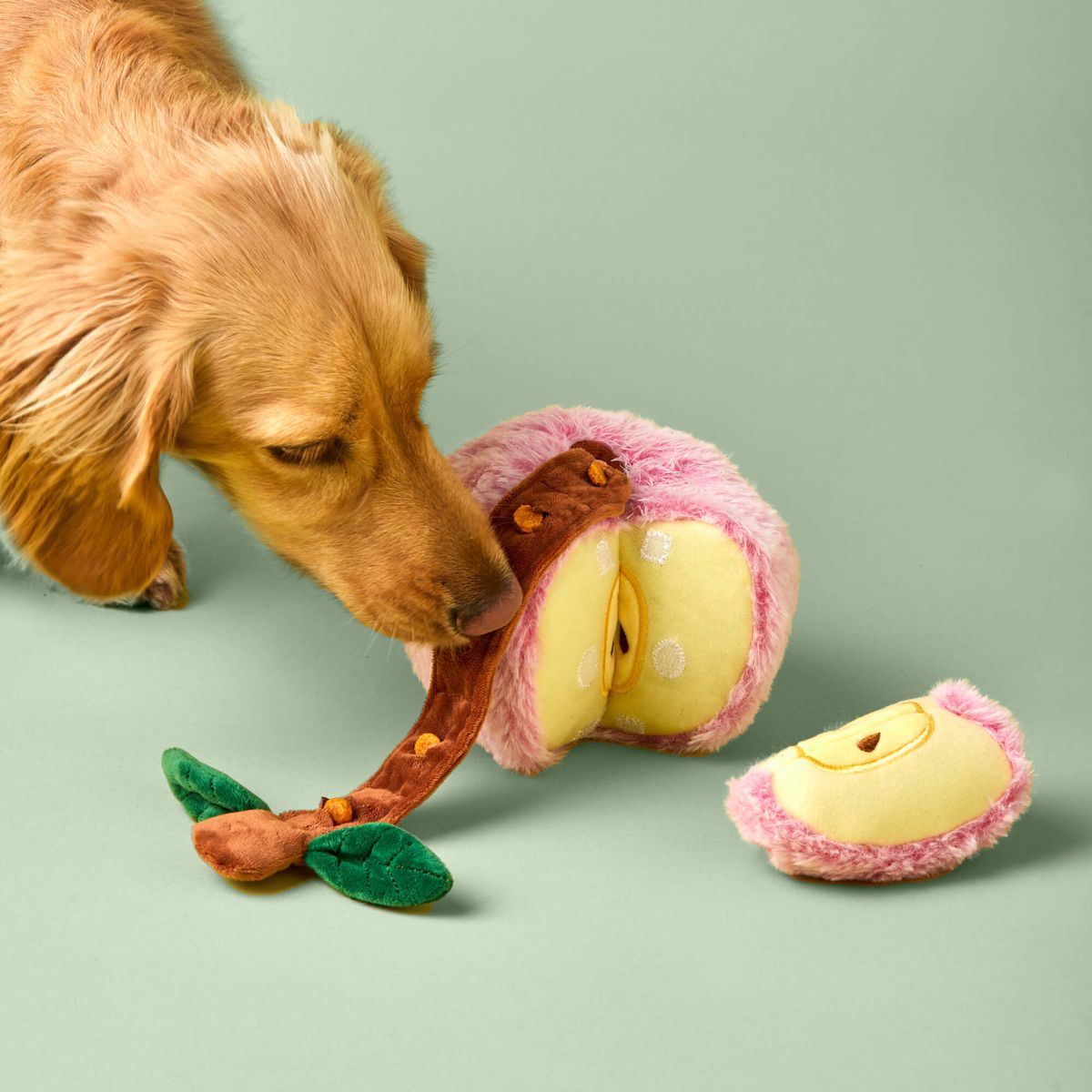 The Foggy Dog Apple Snuffle Toy