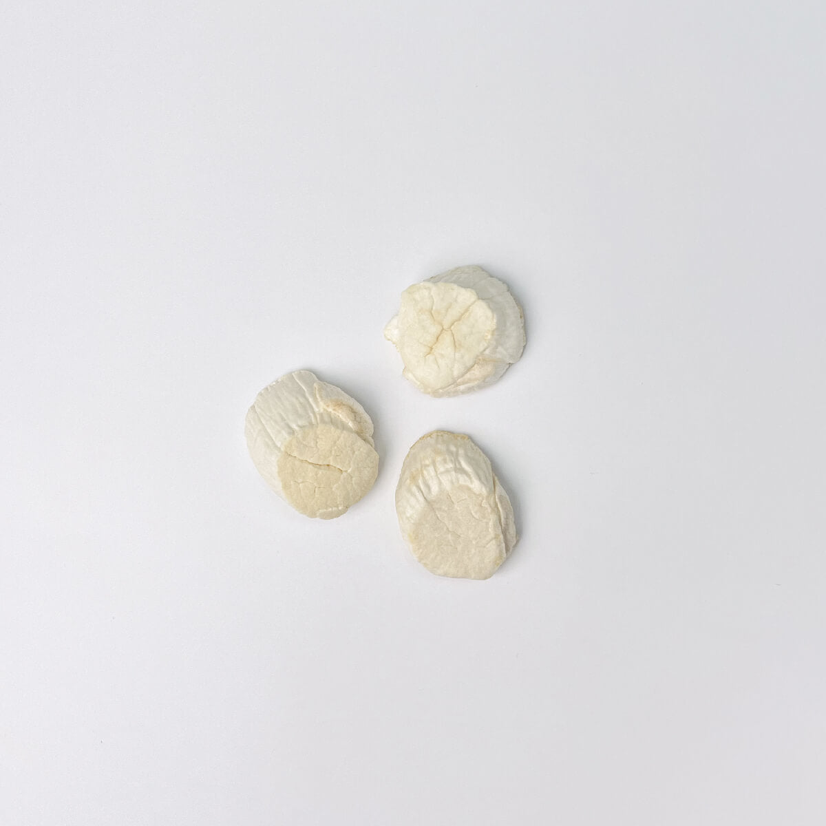 Taki Freeze-dried Mini Packs | Hokkaido Scallop