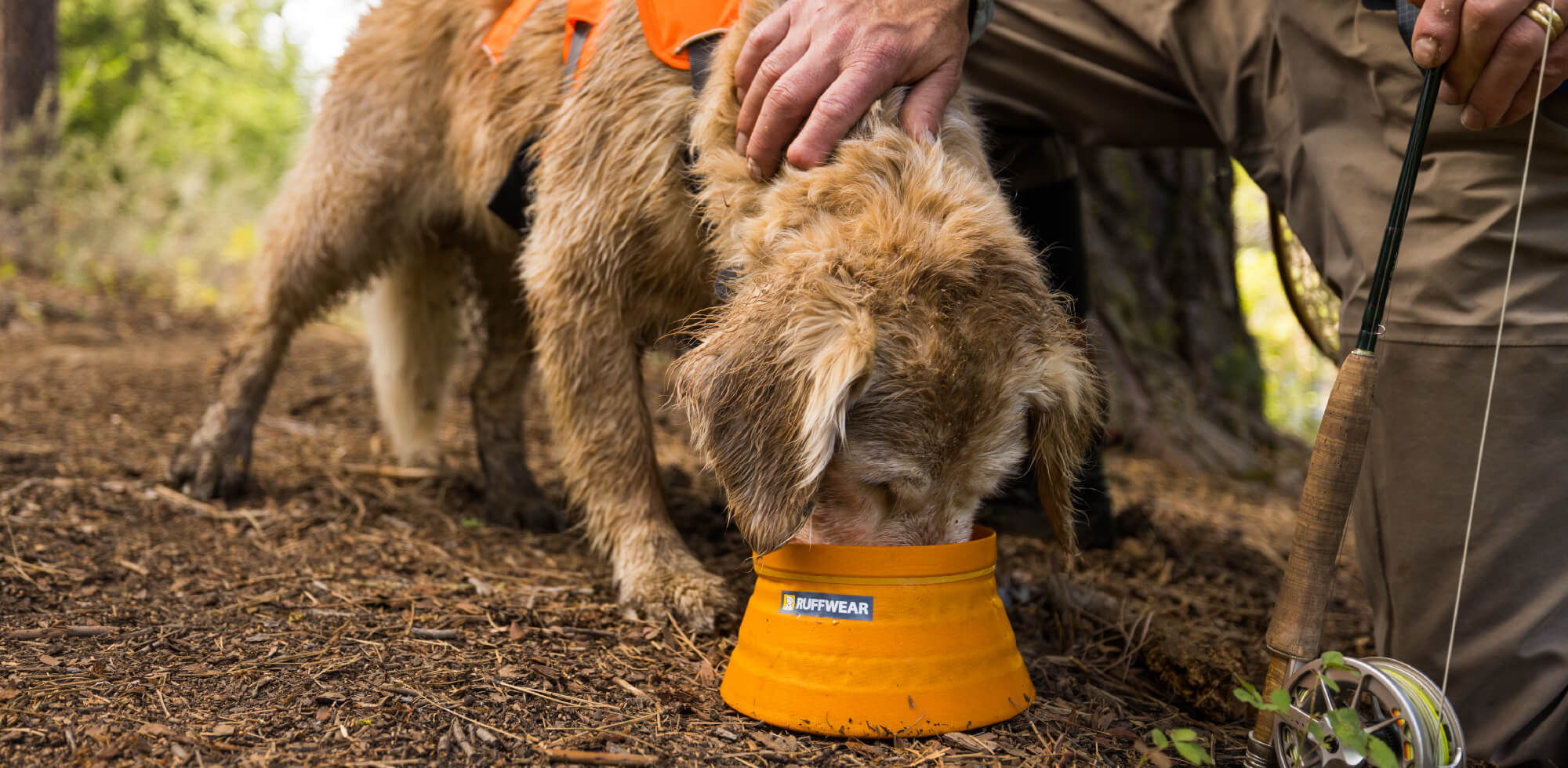 Dog drinking water from Ruffwear Bivy Bowl in Orange