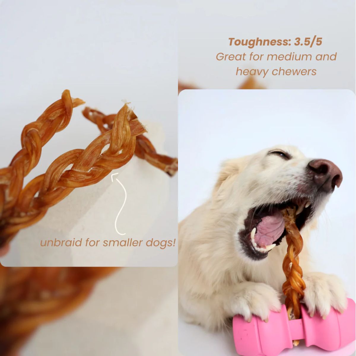 A dog eating The Source-Sage Club Ostrich Braided Tendon with the pink Chewise chew holder.