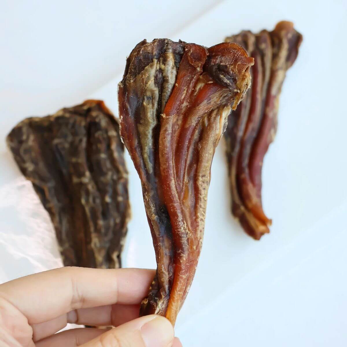 The Source-Sage Club Ostrich Meaty Fan Tendon against a white background.