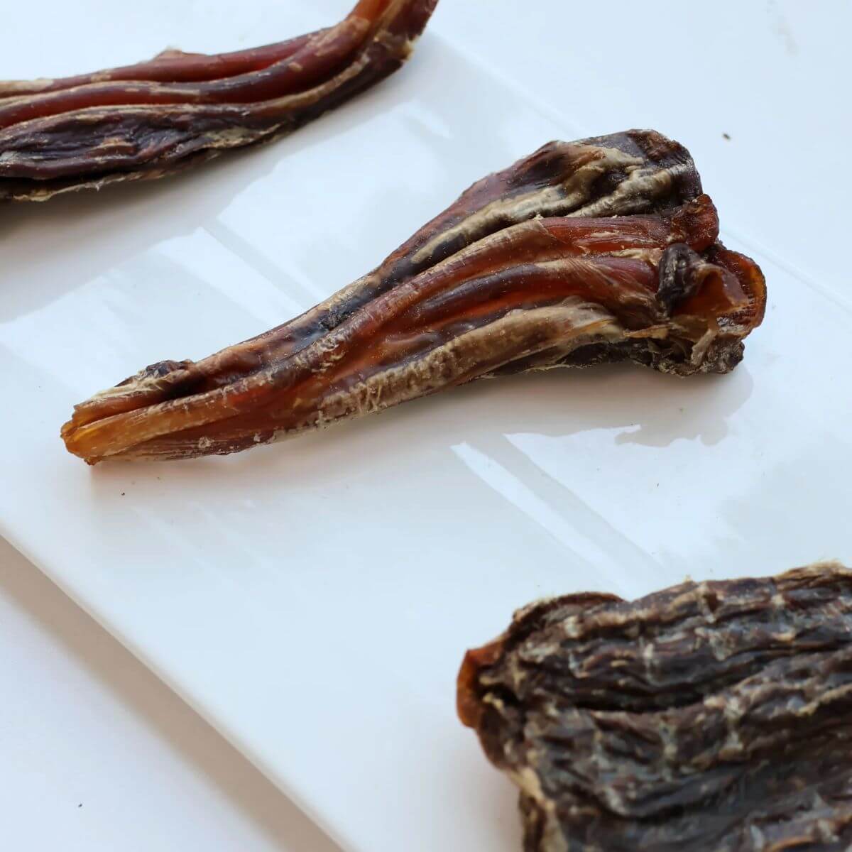 The Source-Sage Club Ostrich Meaty Fan Tendon against a white background.