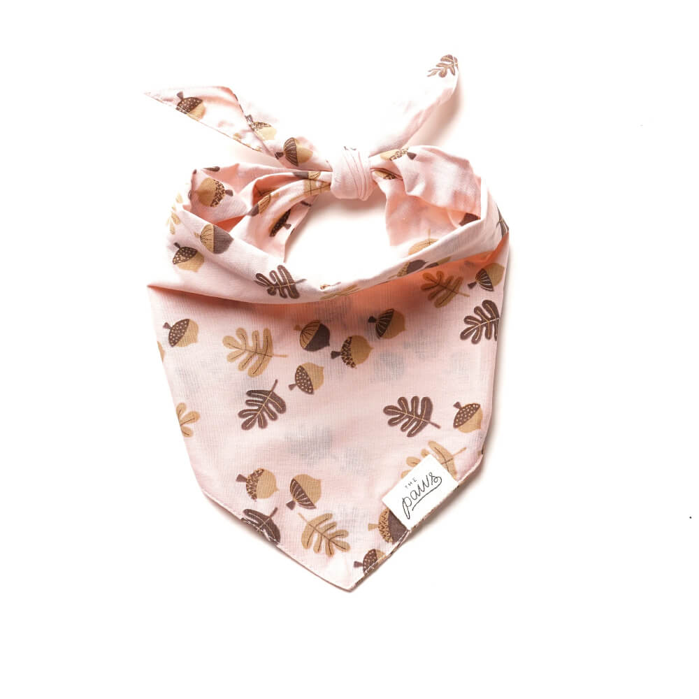 The Paws Bandana | Hickory