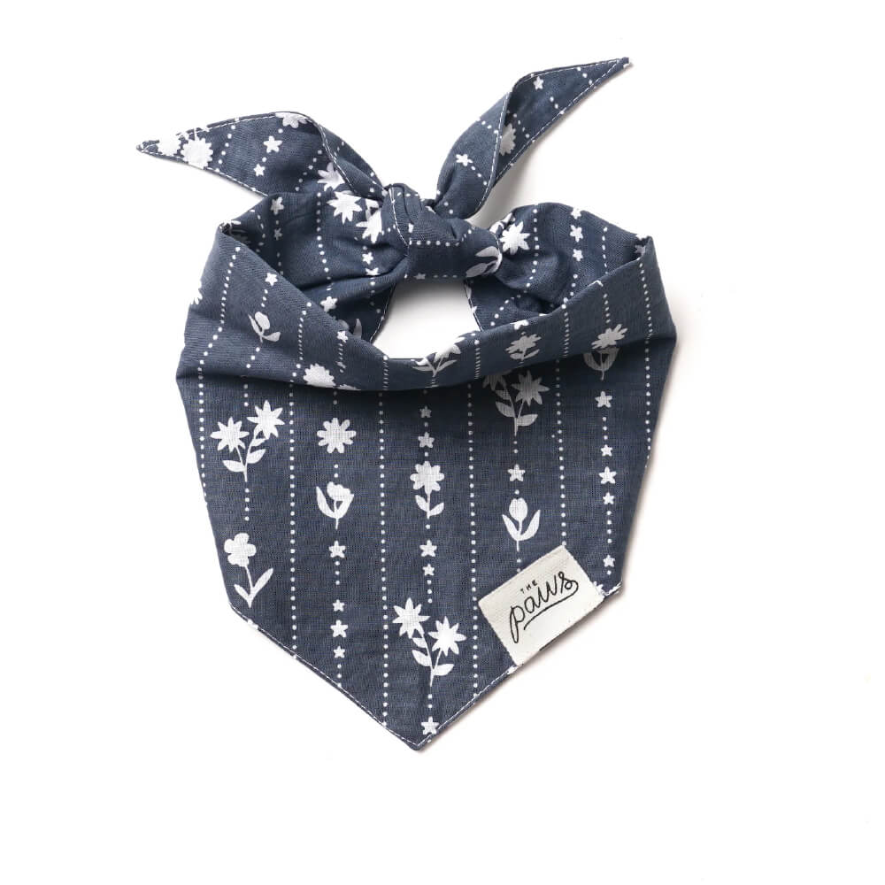 The Paws Bandana | Odelle