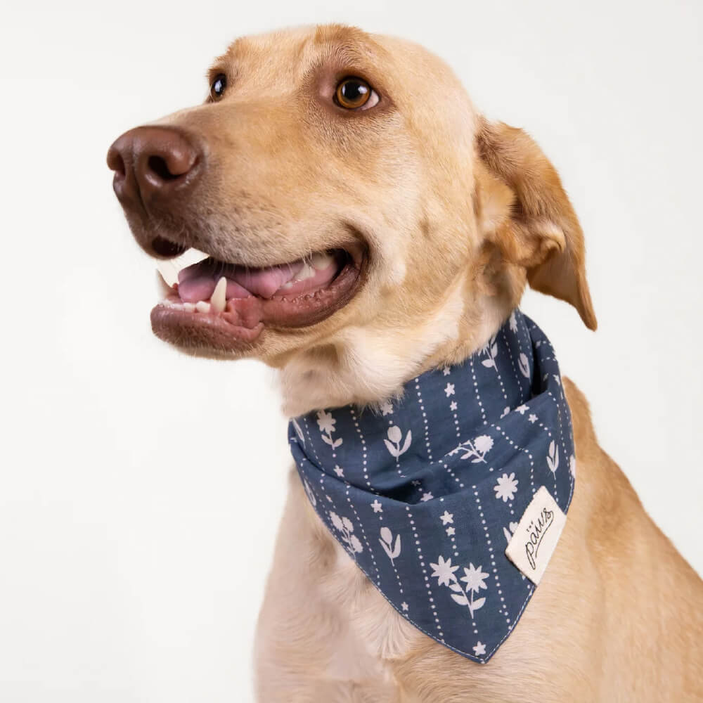 The Paws Bandana | Odelle