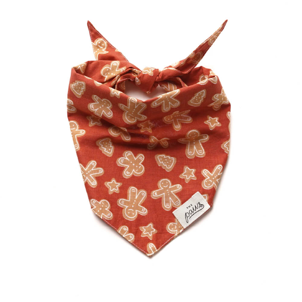 The Paws Bandana | Spice