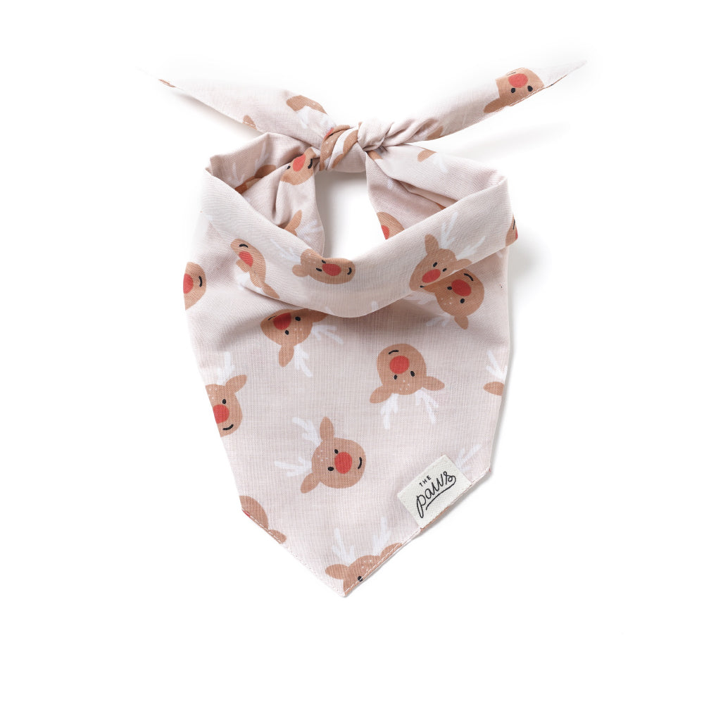 The Paws Bandana | Rudolph (S, M)