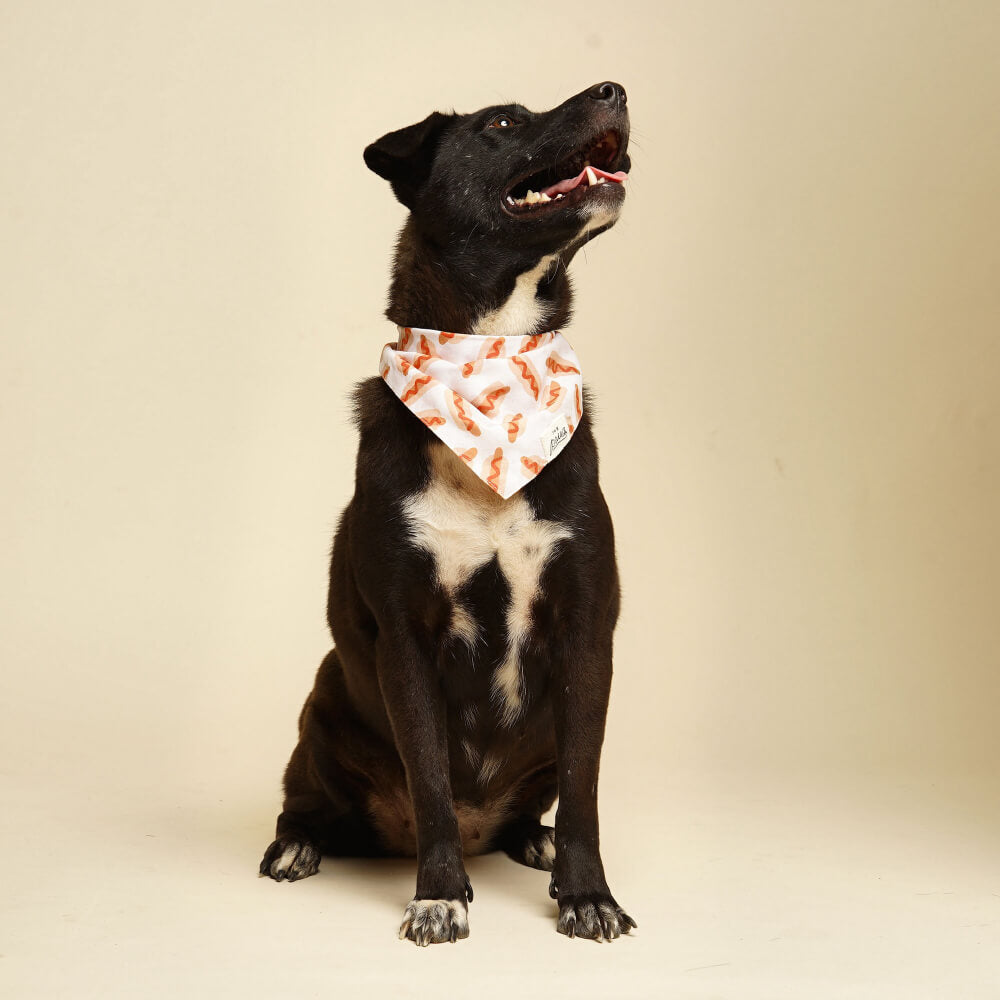 The Paws Bandana | Sizzle