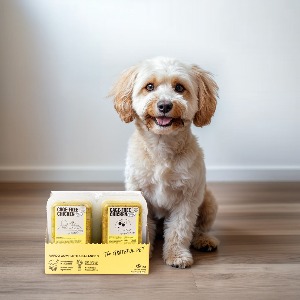 Dog sitting next to a box of The Grateful Pet food on a wooden floor.