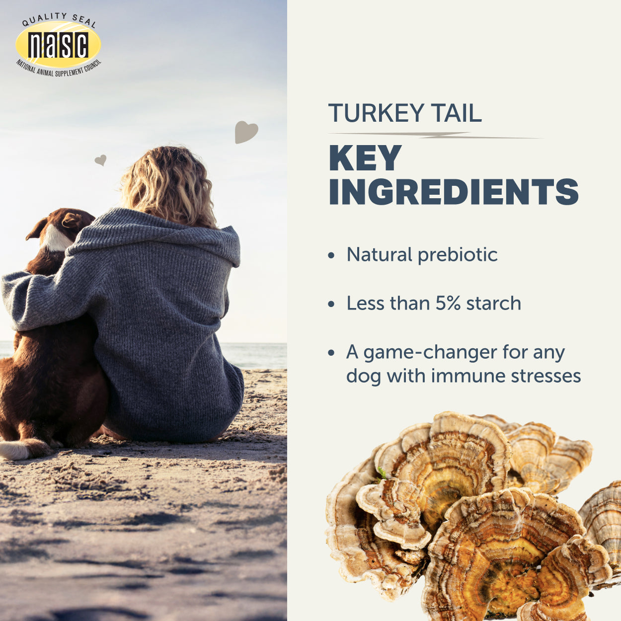 Four Leaf Rover Turkey Tail Mushroom Extract