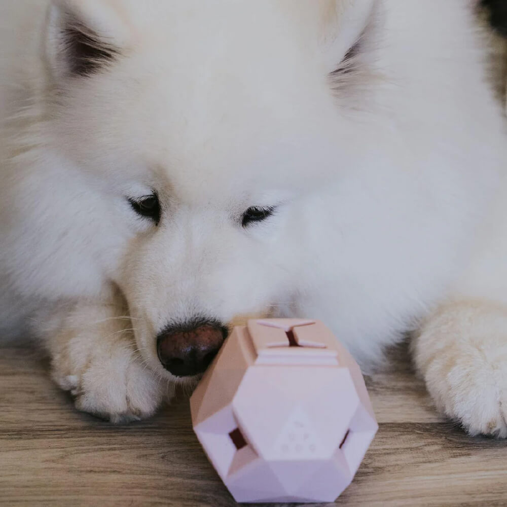 Up Dog The Odin Treat Puzzle Toy