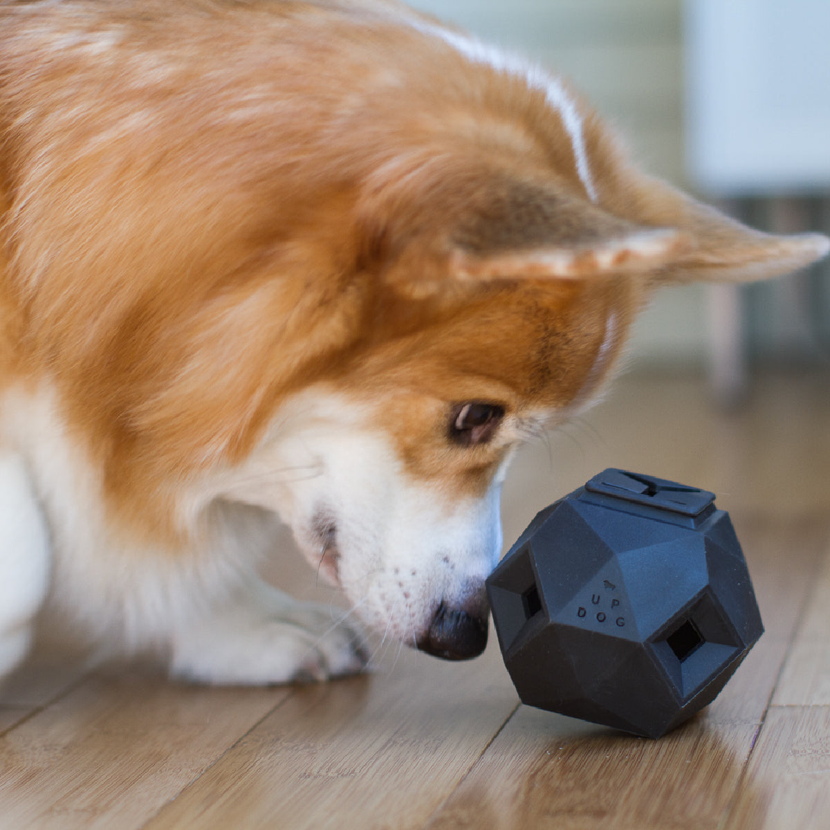 Up Dog The Odin Treat Puzzle Toy