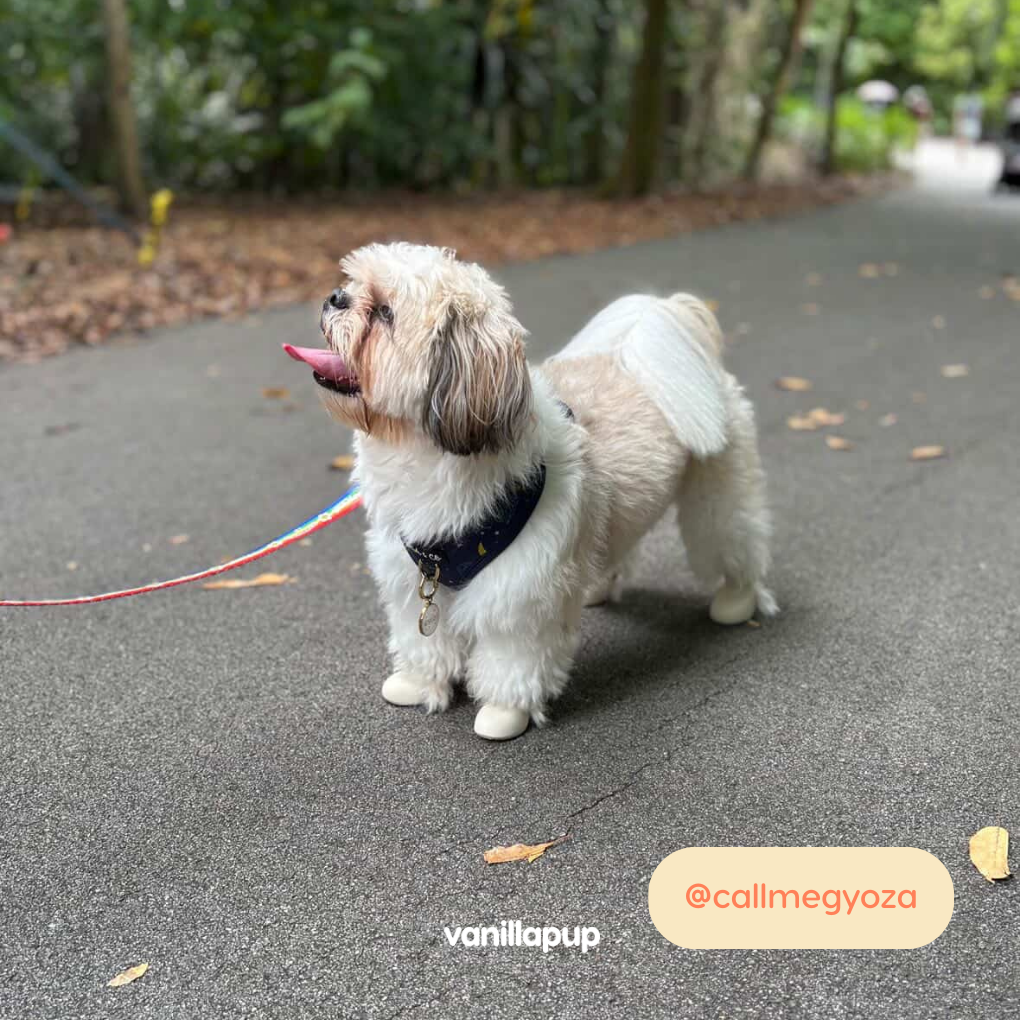 Wagwear WagWellies® Dog Boots