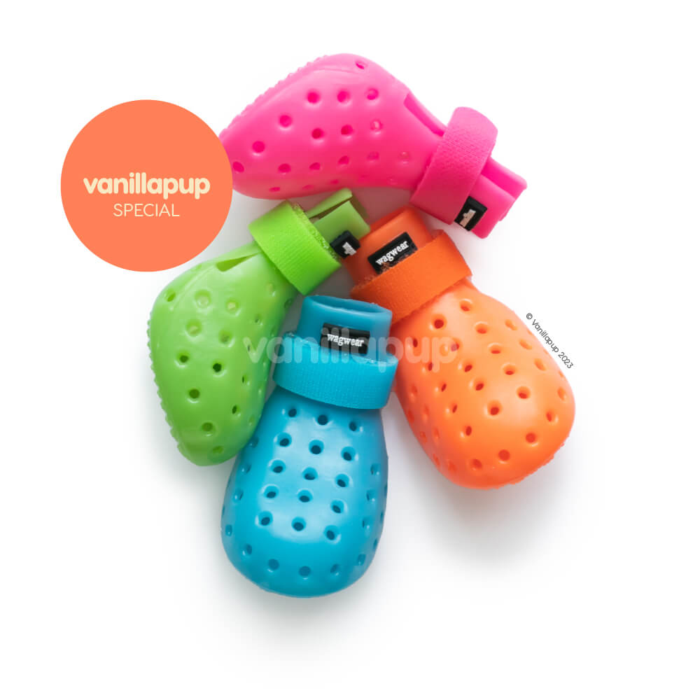 WagWellies® Mojave | Rainbow