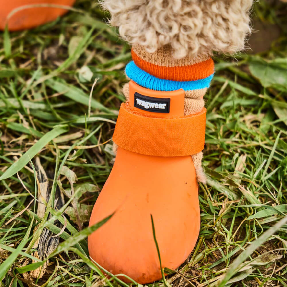 Wagwear Cotton WagWellies® Liners