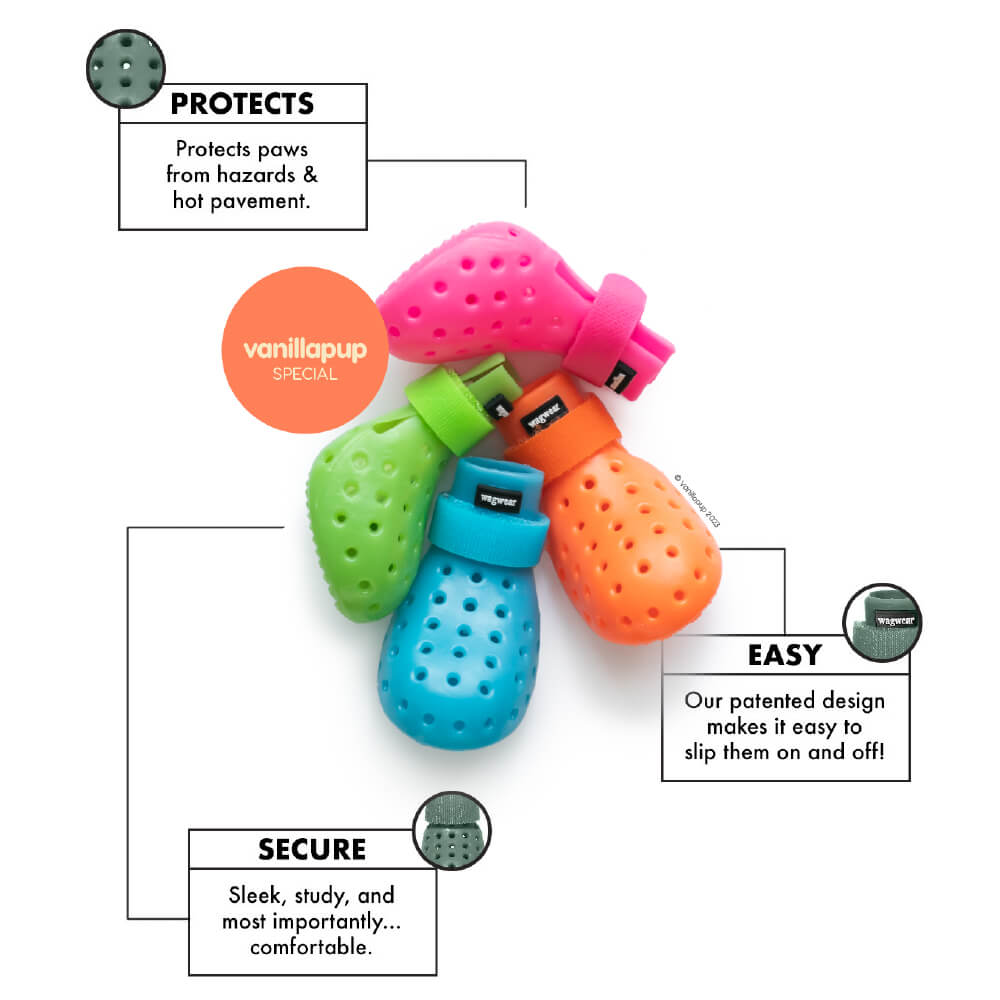 WagWellies® Mojave | Rainbow