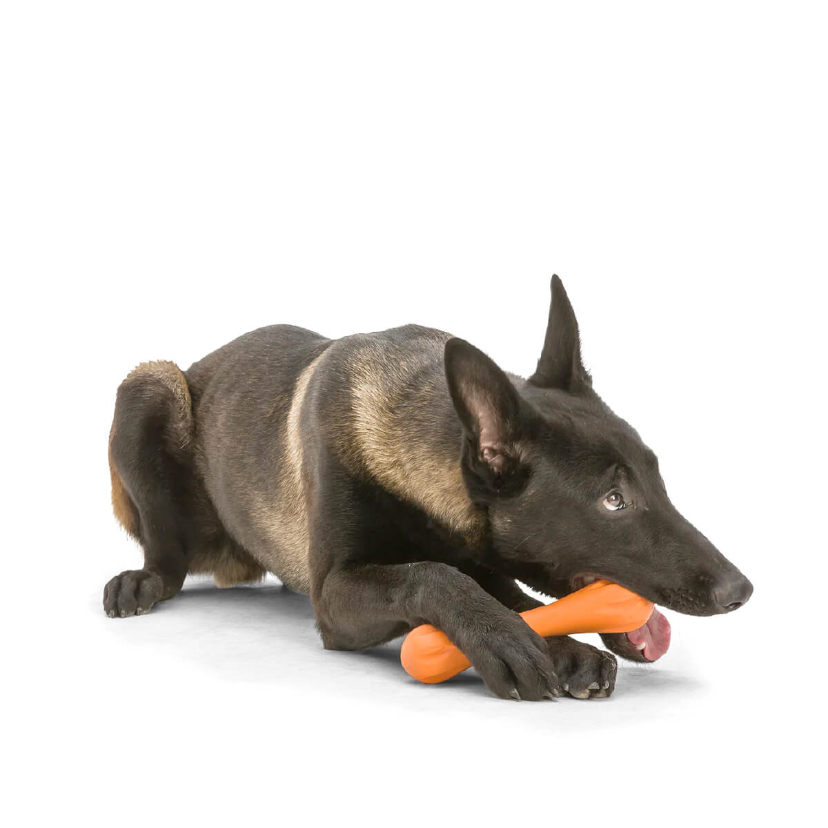 West Paw Zogoflex Hurley Fetch Toy