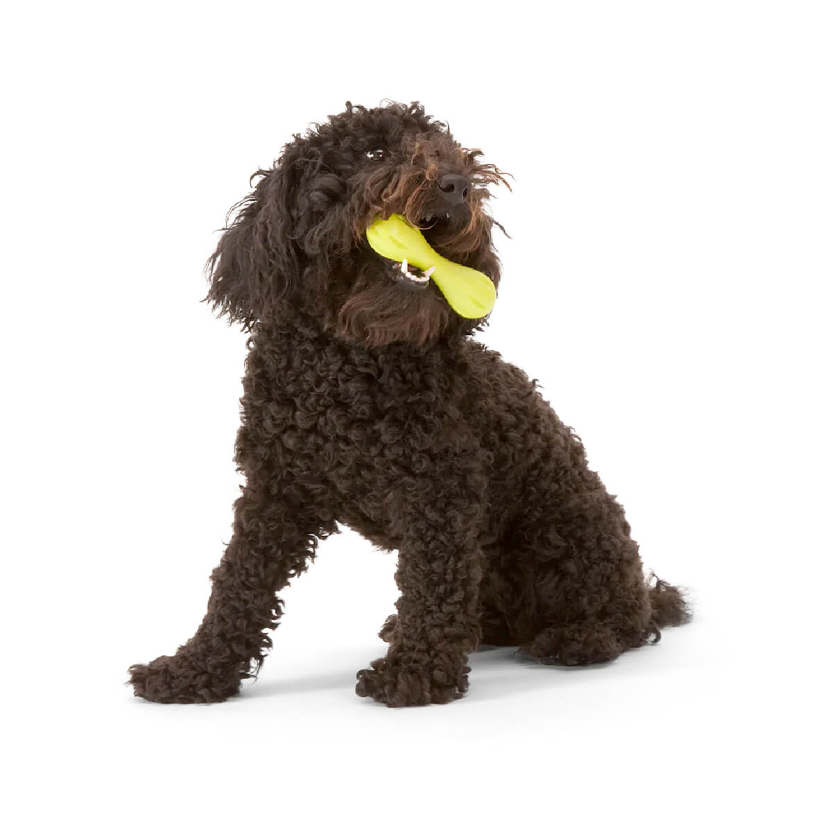 West Paw Zogoflex Hurley Fetch Toy