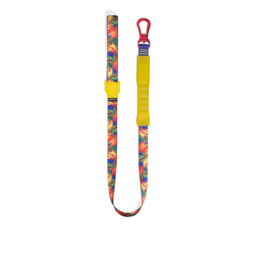 Zee.Dog Airleash | Samba