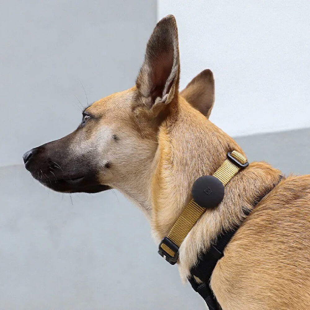 Zee.Dog AirTag Holder