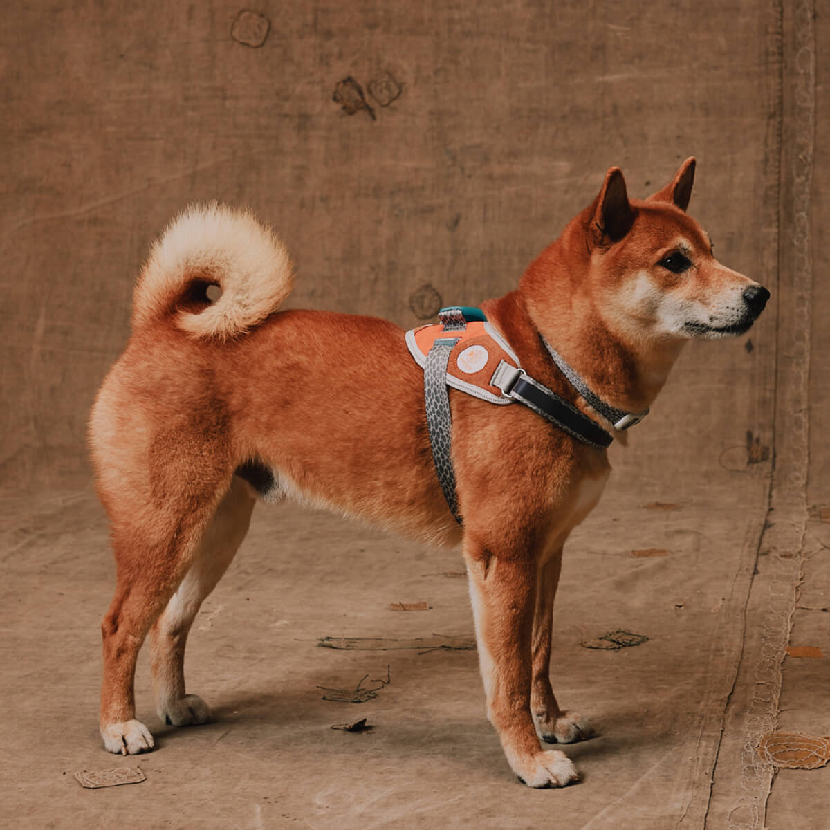 Zee.Dog x Reebok FlyHarness | Suede