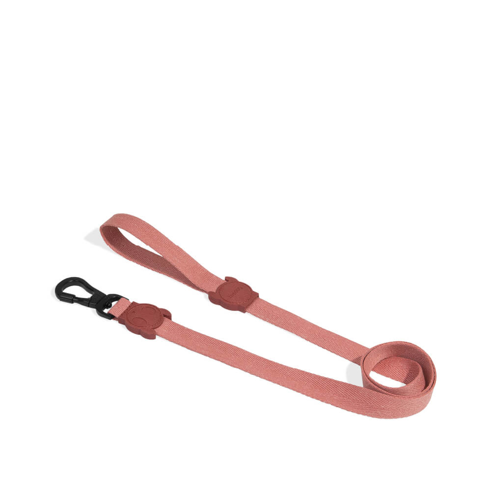 Zee.Dog Leash | Canyon