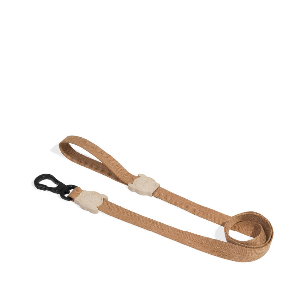 Secure dog outlet leash