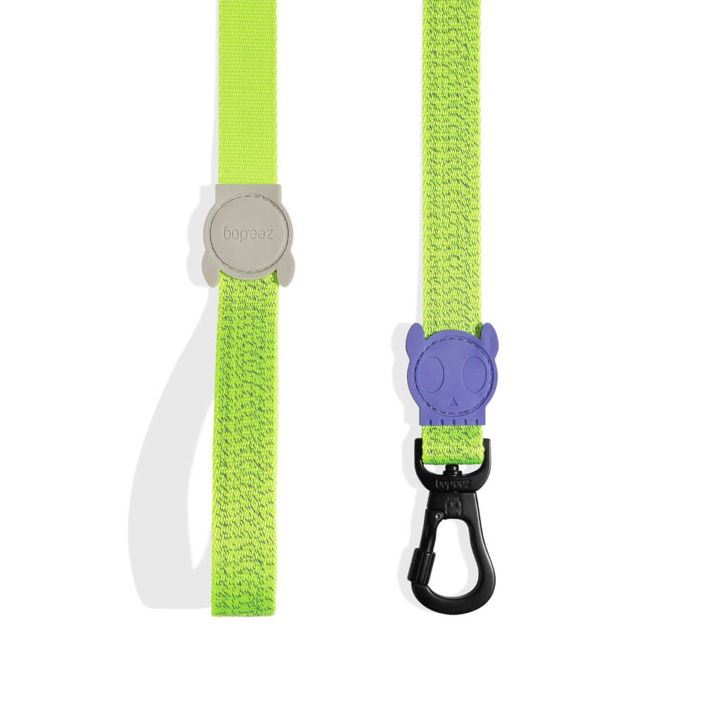 Zee.Dog Leash | Nox Lumen