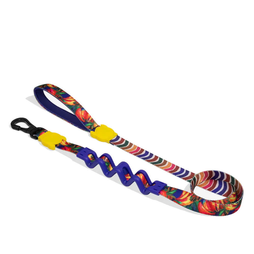 Zee.Dog Ruff Leash | Samba