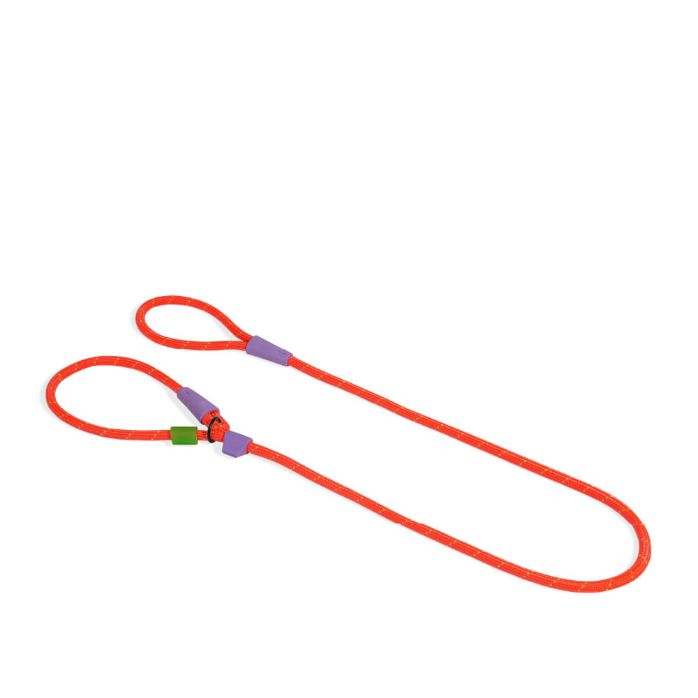 Zee.Dog Slip-N-Lock | Everest