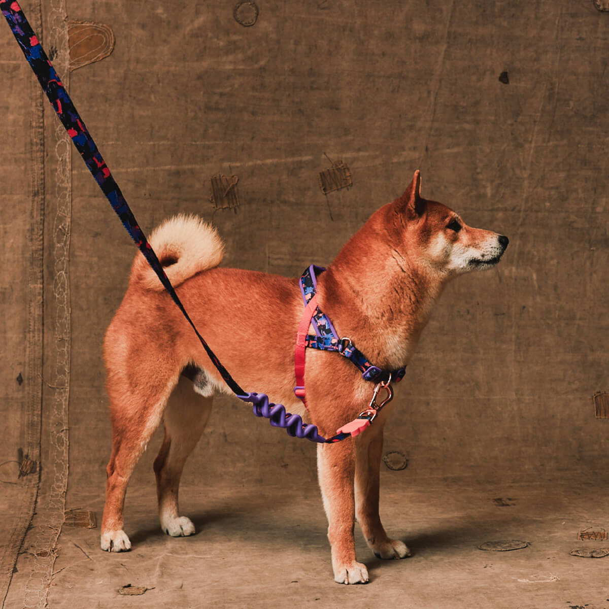Zee.Dog x Reebok Softer Walk Harness | Court
