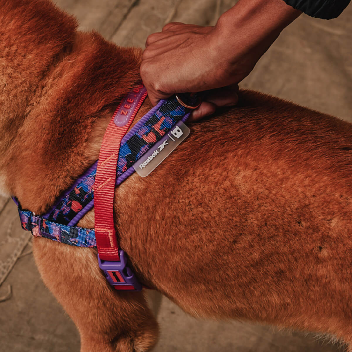 Zee.Dog x Reebok Softer Walk Harness | Court