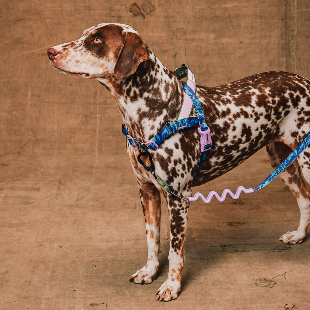 Zee.Dog x Reebok Softer Walk Harness | Trekk