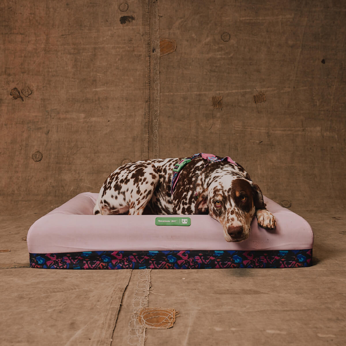 Zee.Dog x Reebok Aerobic Bed