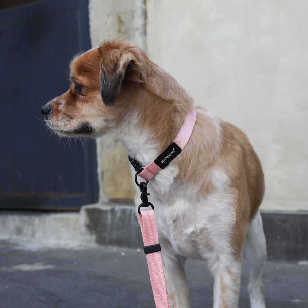 andblank Essential Hands-free Leash | Pink