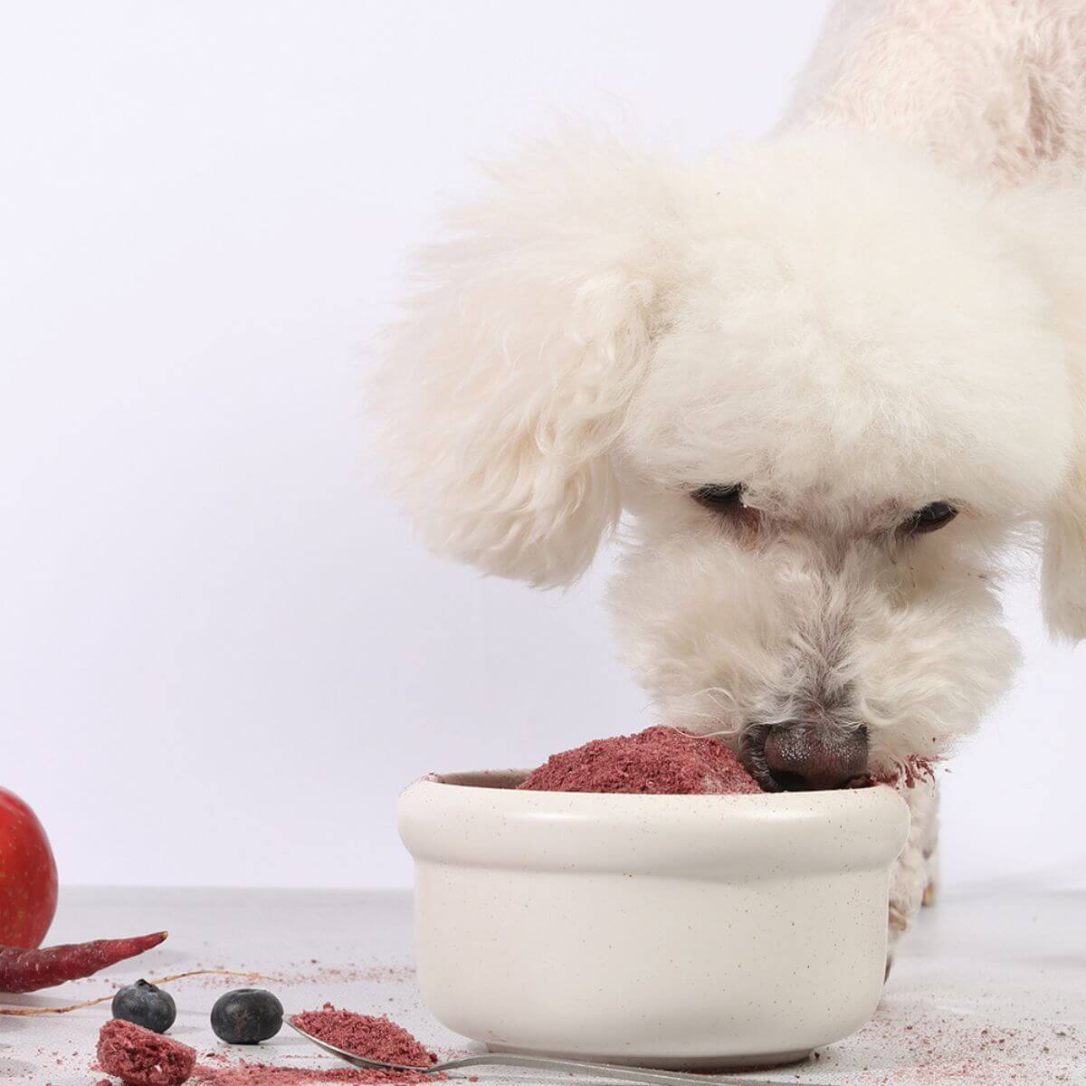 A poodle mix sniffing out the Arlo Kitchen Detox Purple Veggie Patties against a white background.